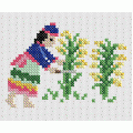 Rice farmer